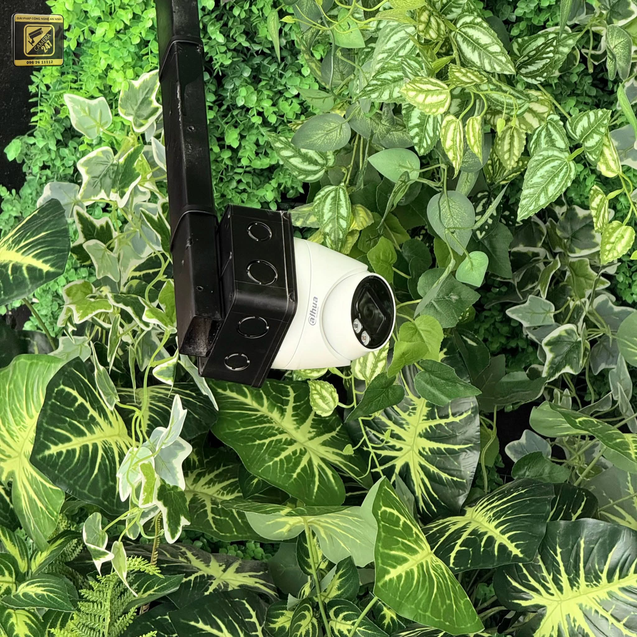 Thi công Camera, Mạng nhà hàng The King Garden - ảnh 8