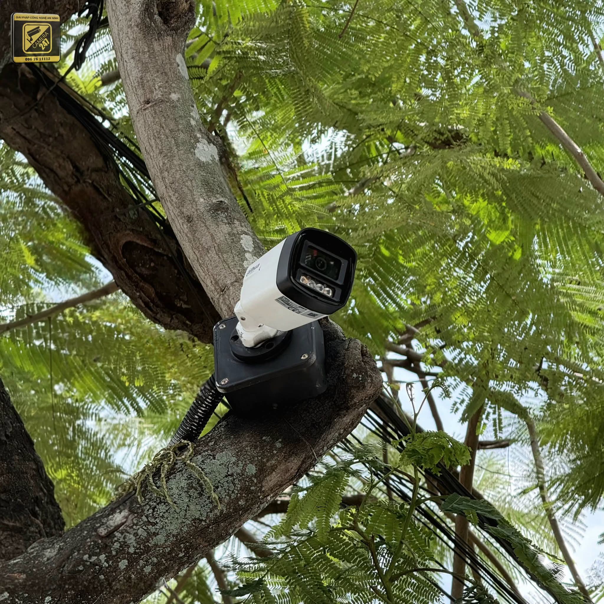 Thi công Camera, Mạng nhà hàng The King Garden - ảnh 9