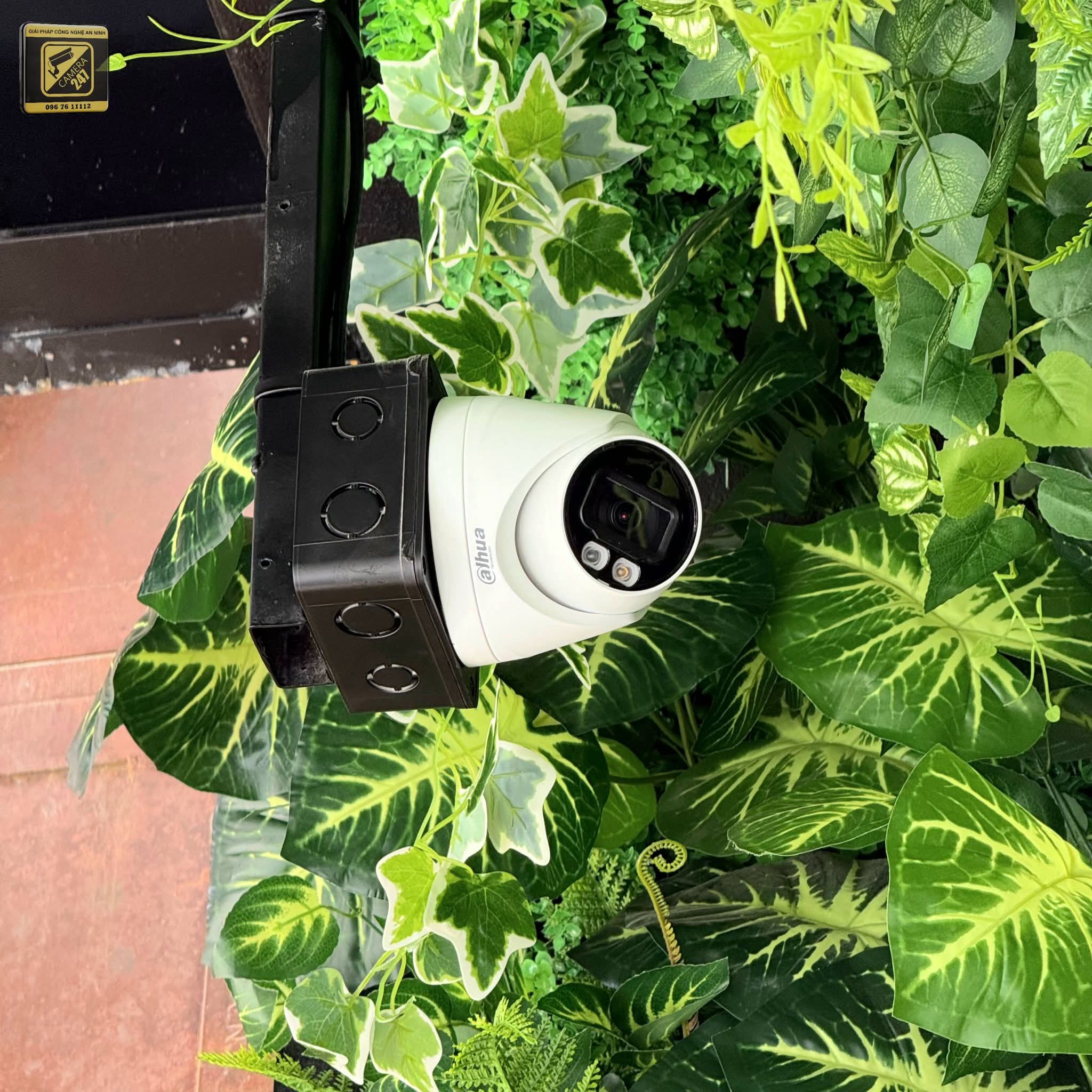 Thi công Camera, Mạng nhà hàng The King Garden - ảnh 20