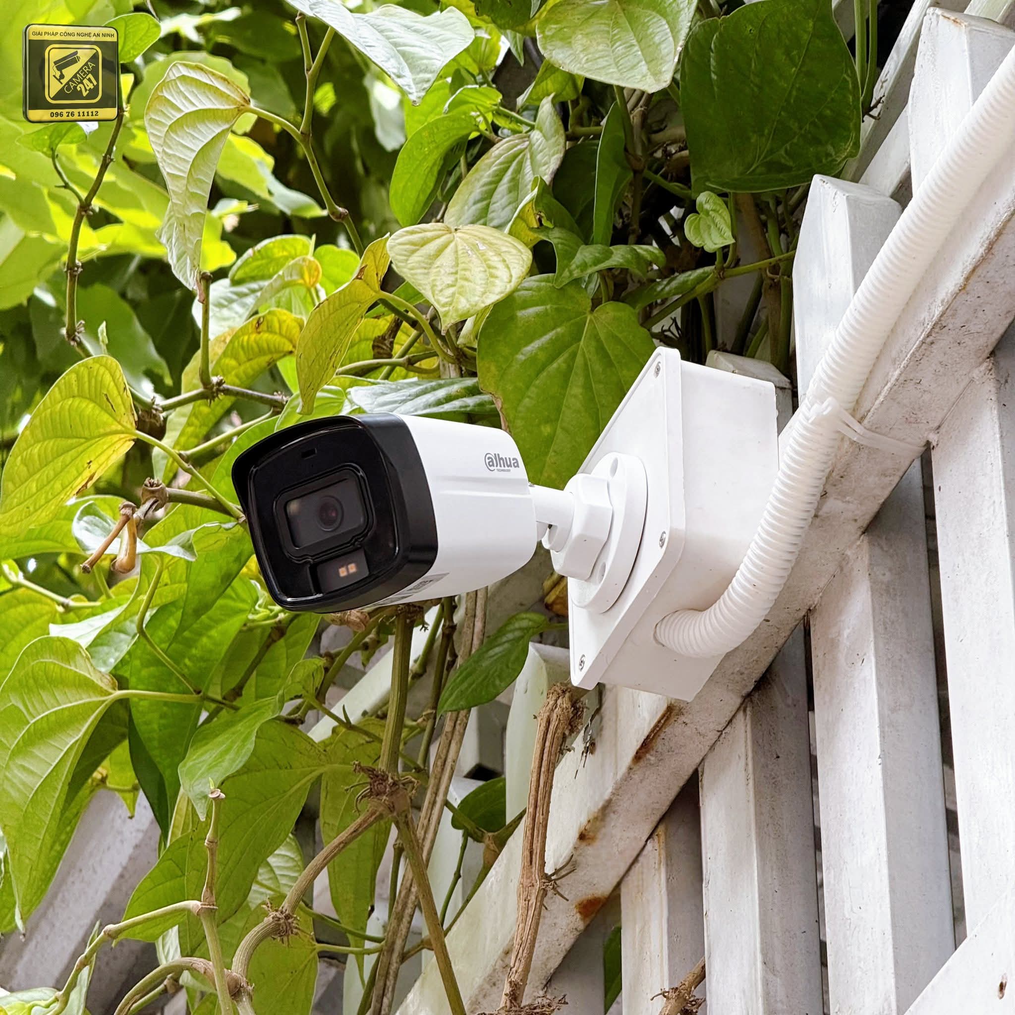 Lắp đặt Camera, Mạng Color Homestay - ảnh 2