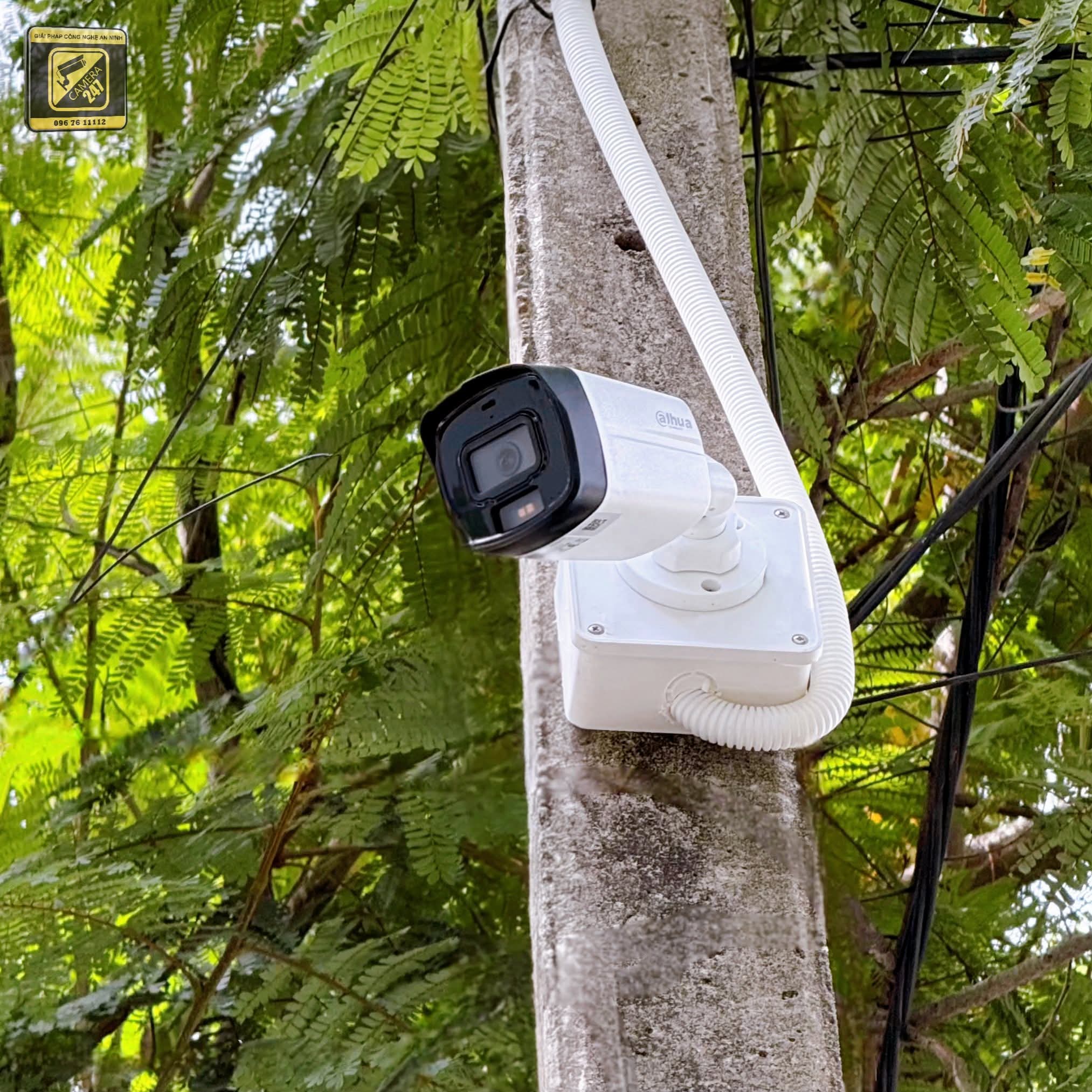 Lắp đặt Camera, Mạng Color Homestay - ảnh 5
