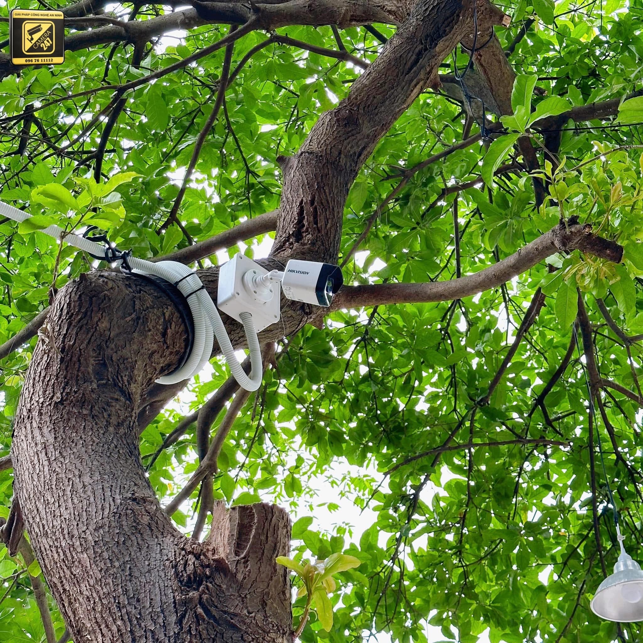 Lắp đặt Camera, Mạng Cơm Sen - ảnh 3